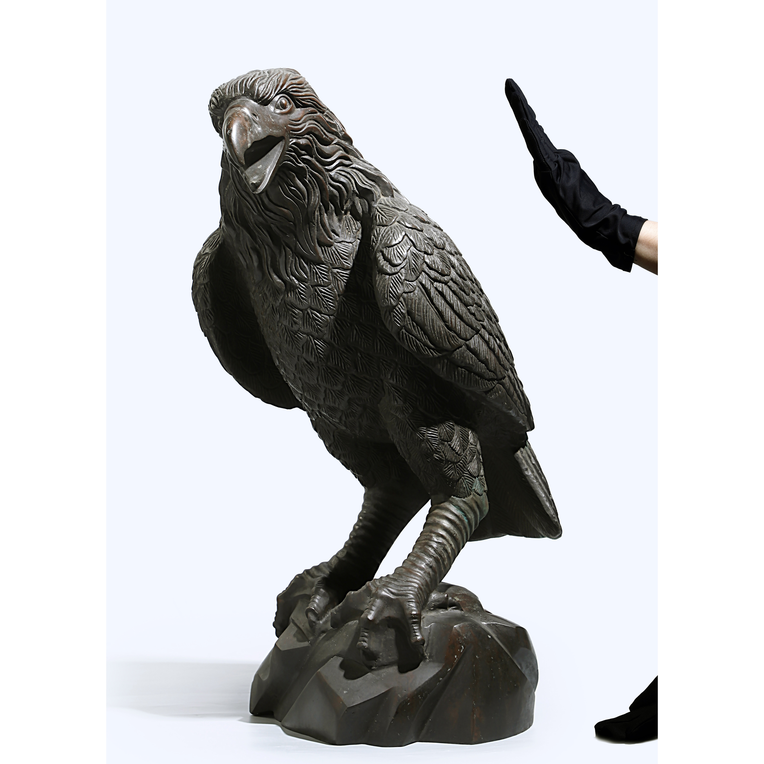 卡纳布观鸟- Dreamland Safari Tours, image size:2500x2500